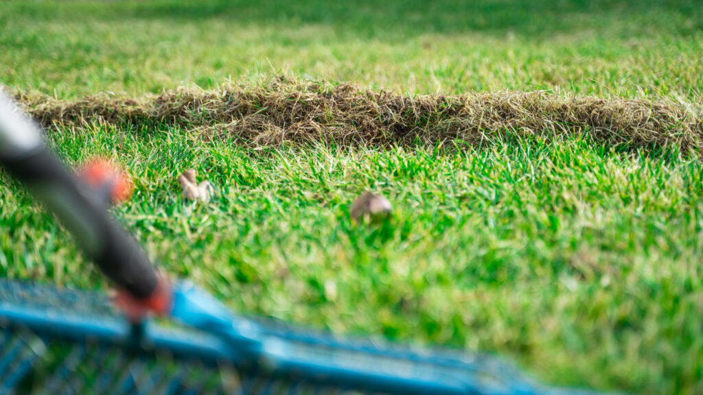 Lawn Problems